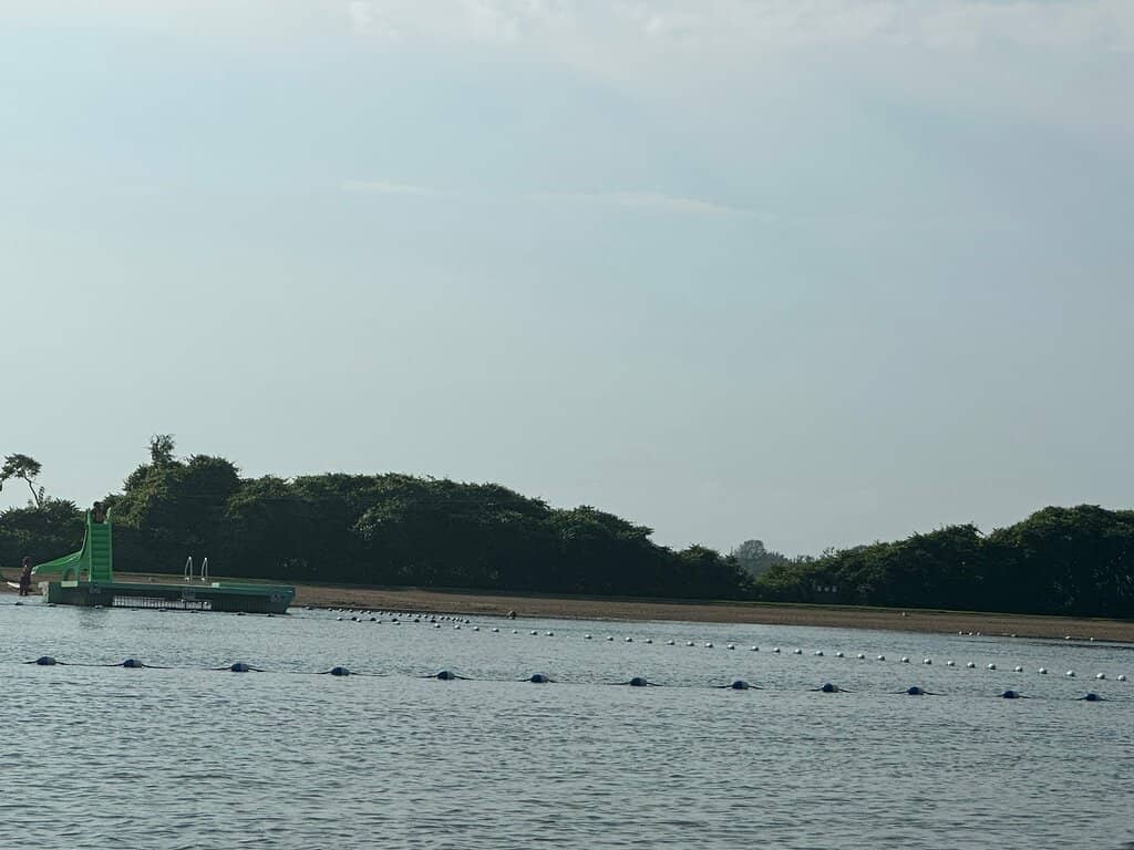 Accueil Sector Dog Park