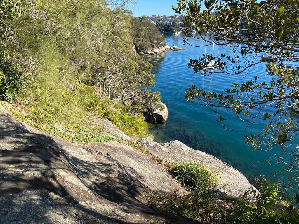 Vertical photo
