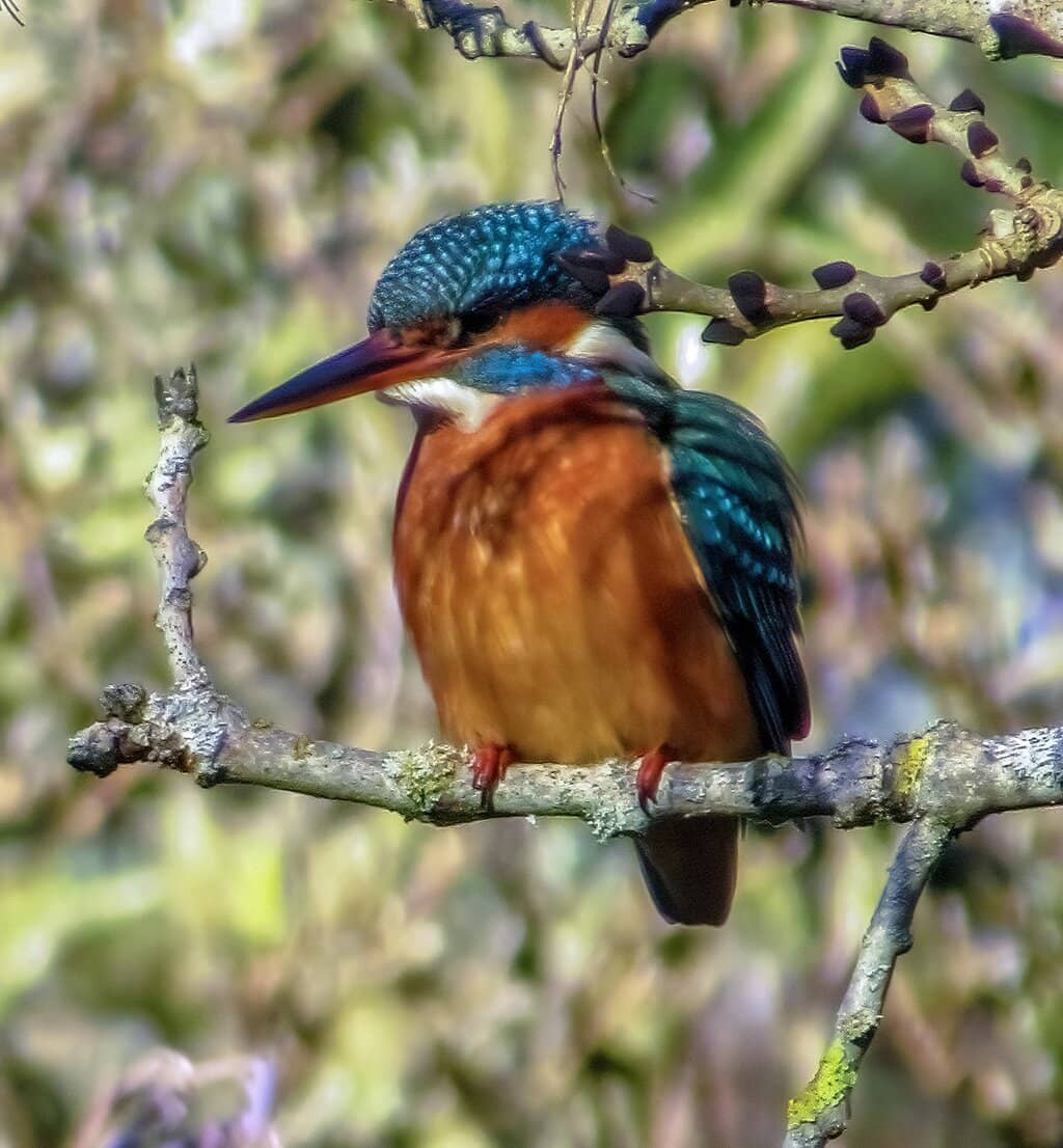 Children's Playground