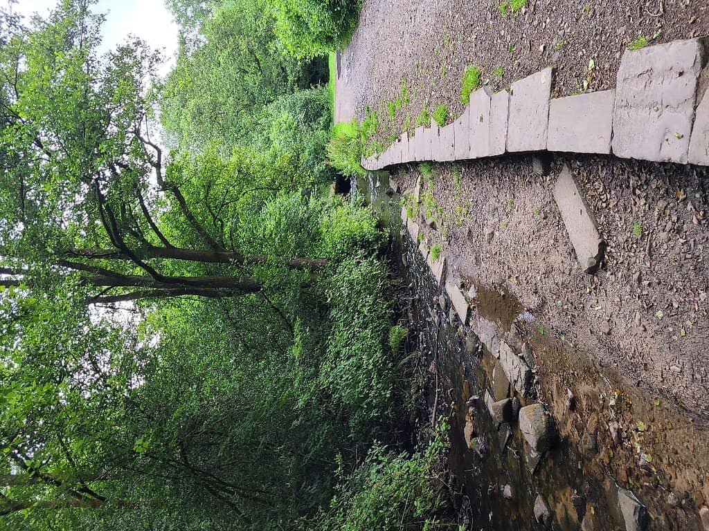 Vertical photo