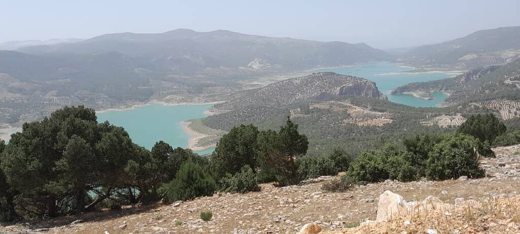 Giant Rooster Statue