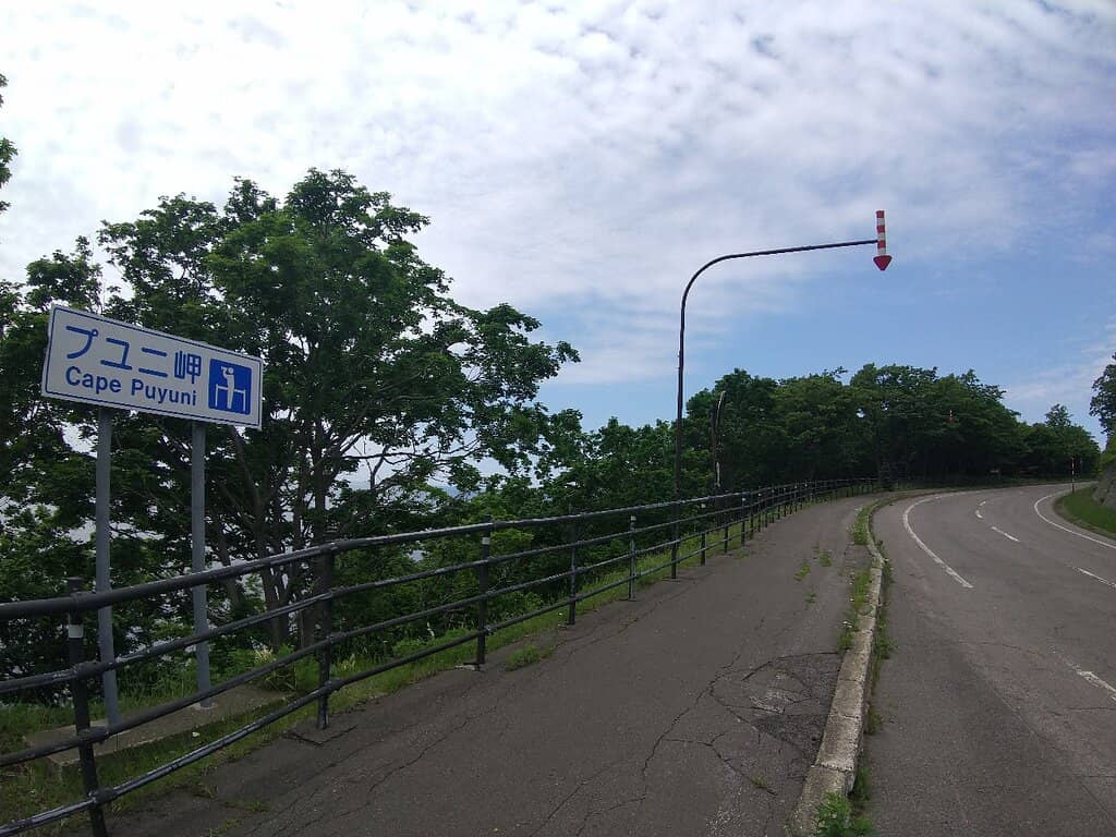 Vertical photo