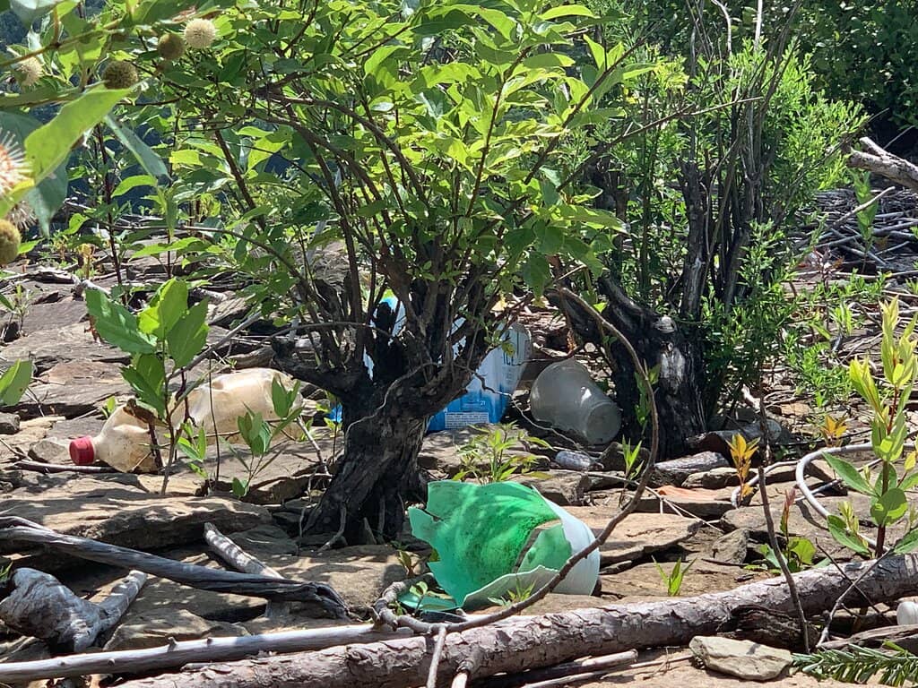 Abundant Bass Fishing