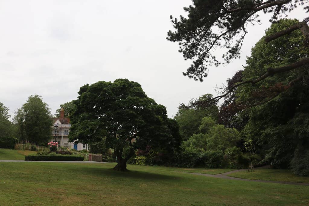 Live Music and Festivals