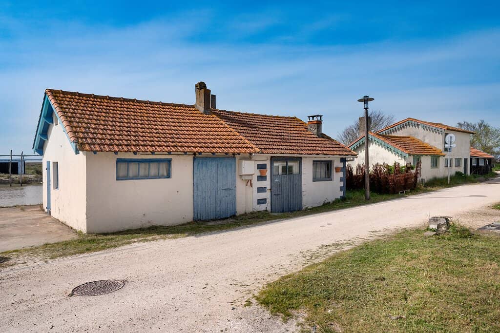 Charming Harbor Atmosphere