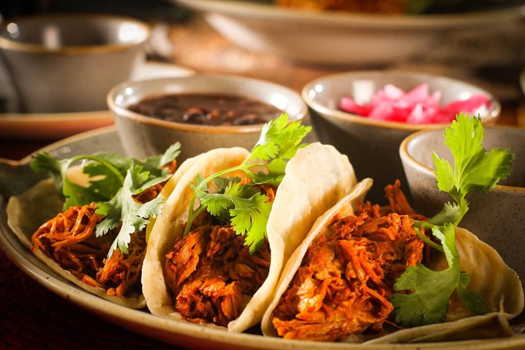 Magical Jungle Ambiance