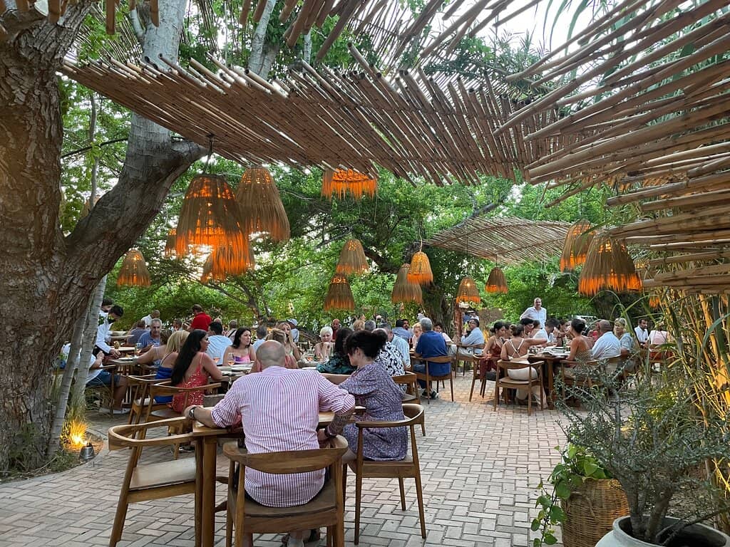 Farm-to-Table Culinary Journey