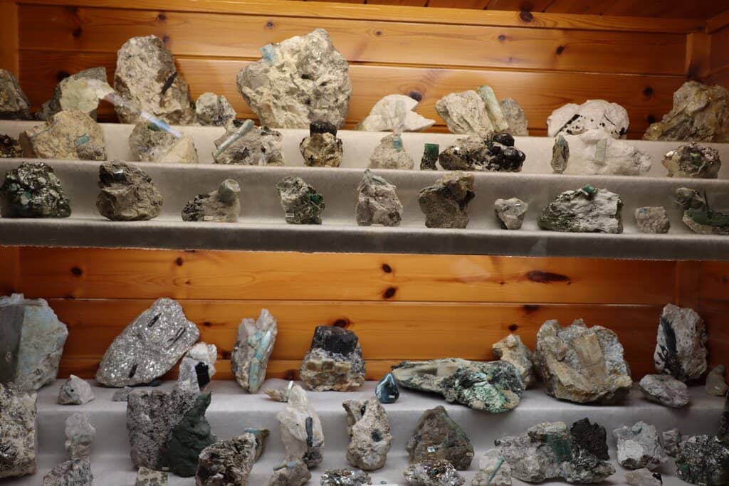 Warm and Welcoming Staff