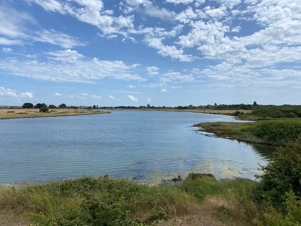 Birdwatching Paradise