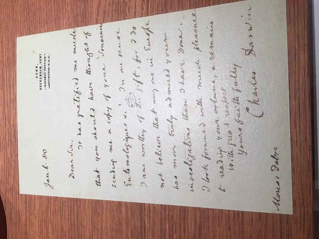 The Botanical Garden