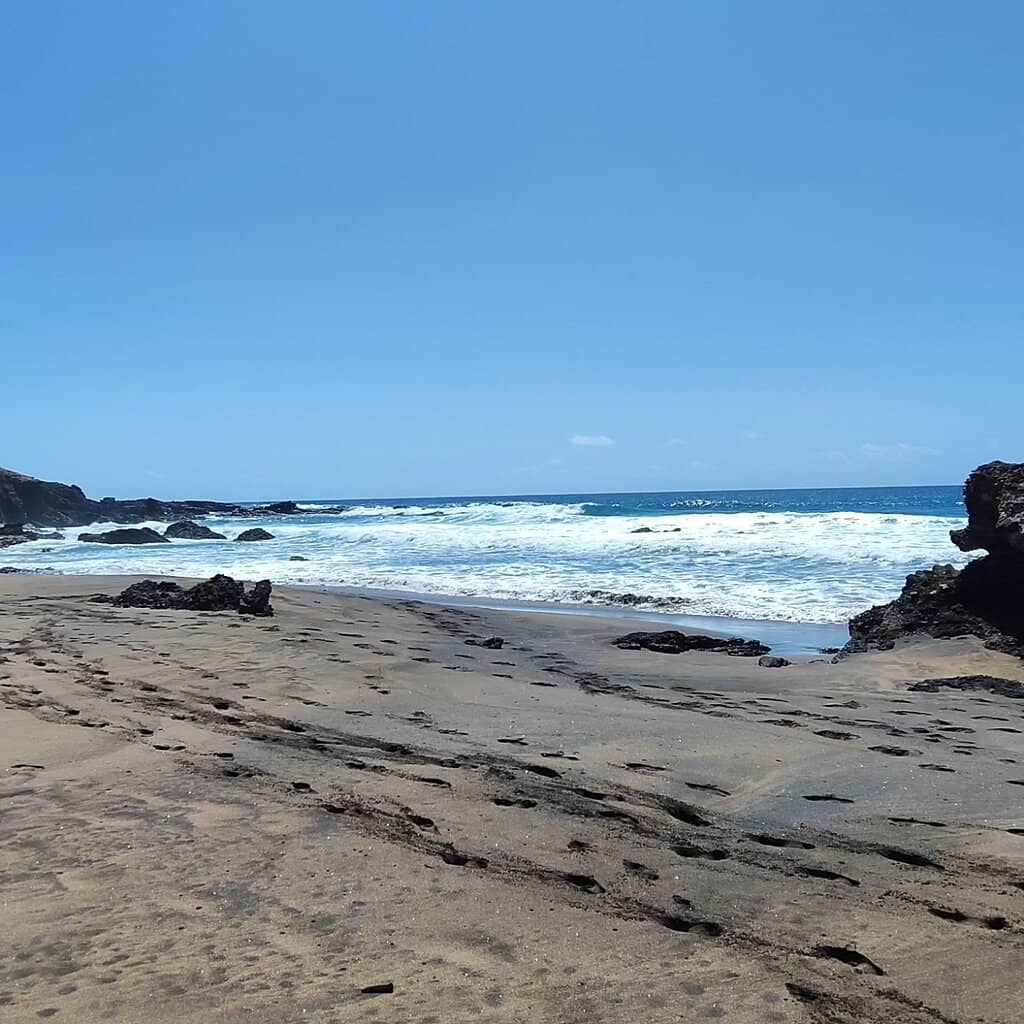 Spectacular Wild Waves