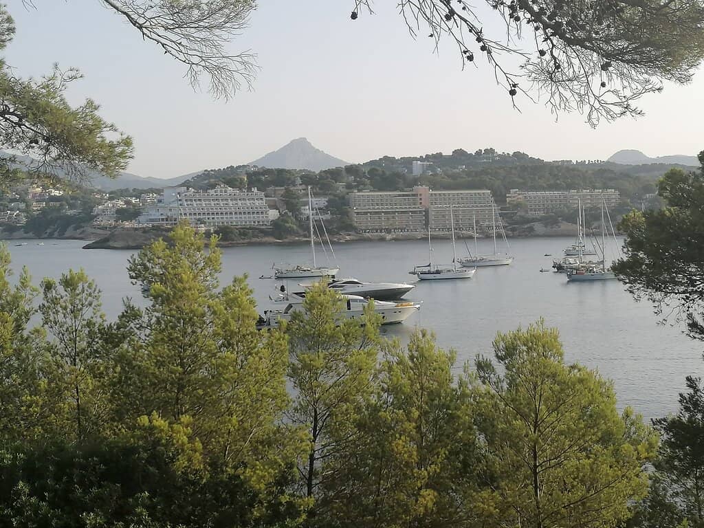 Panoramic Bay Views