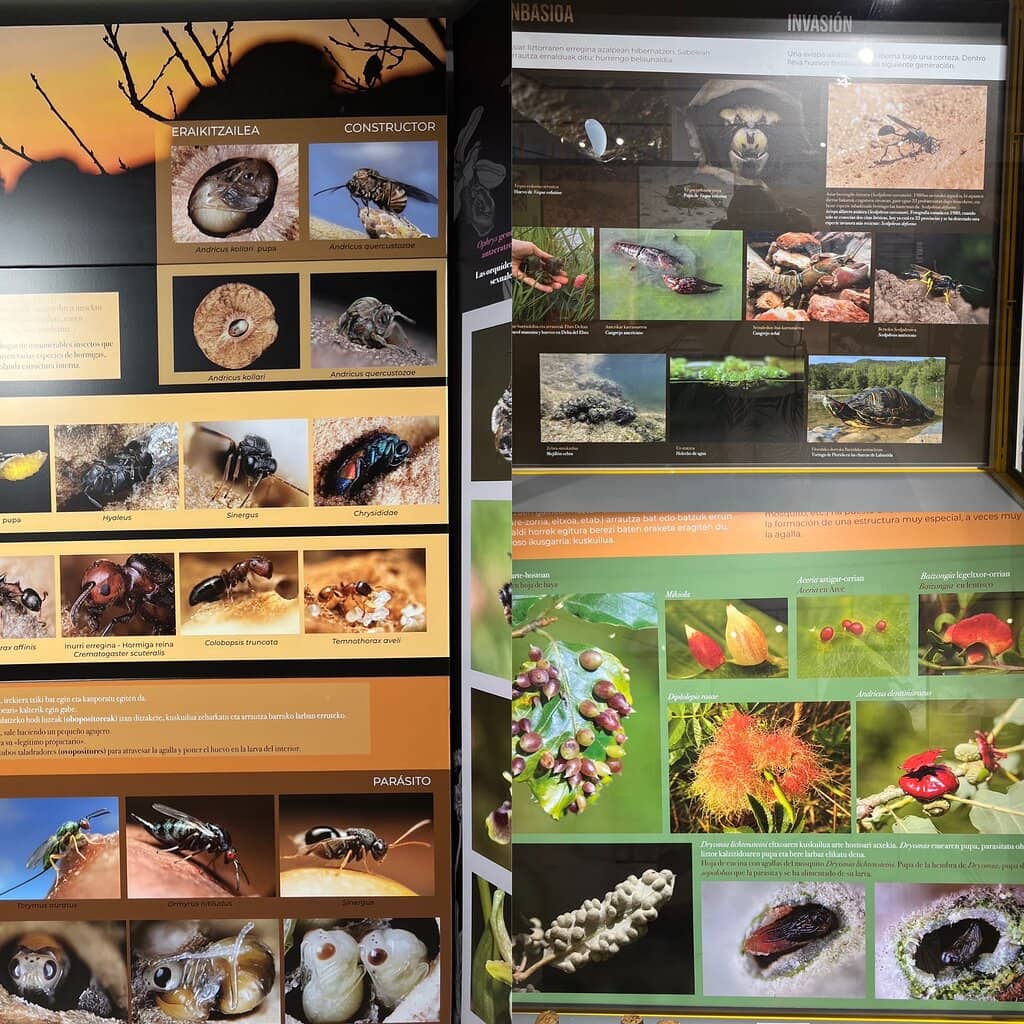 Medieval Tower Setting