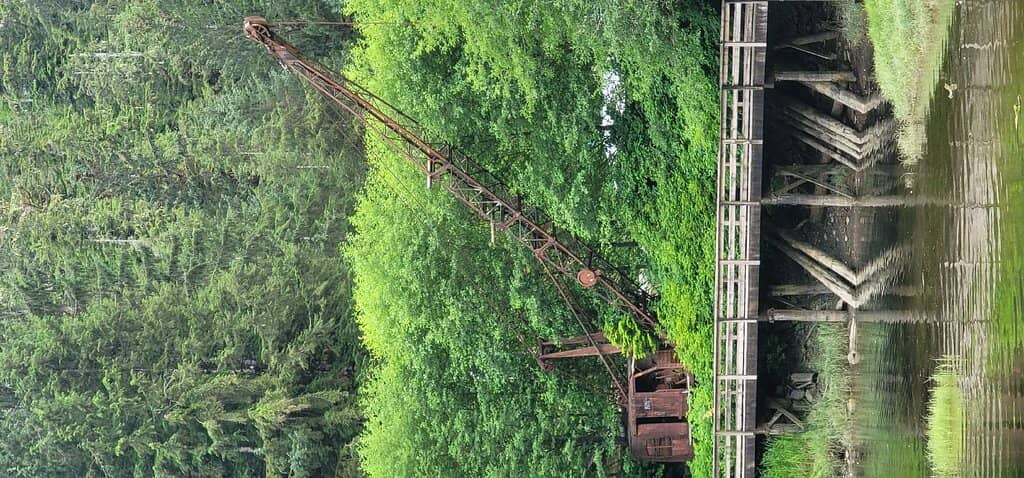 Totem Pole Carving Demonstration