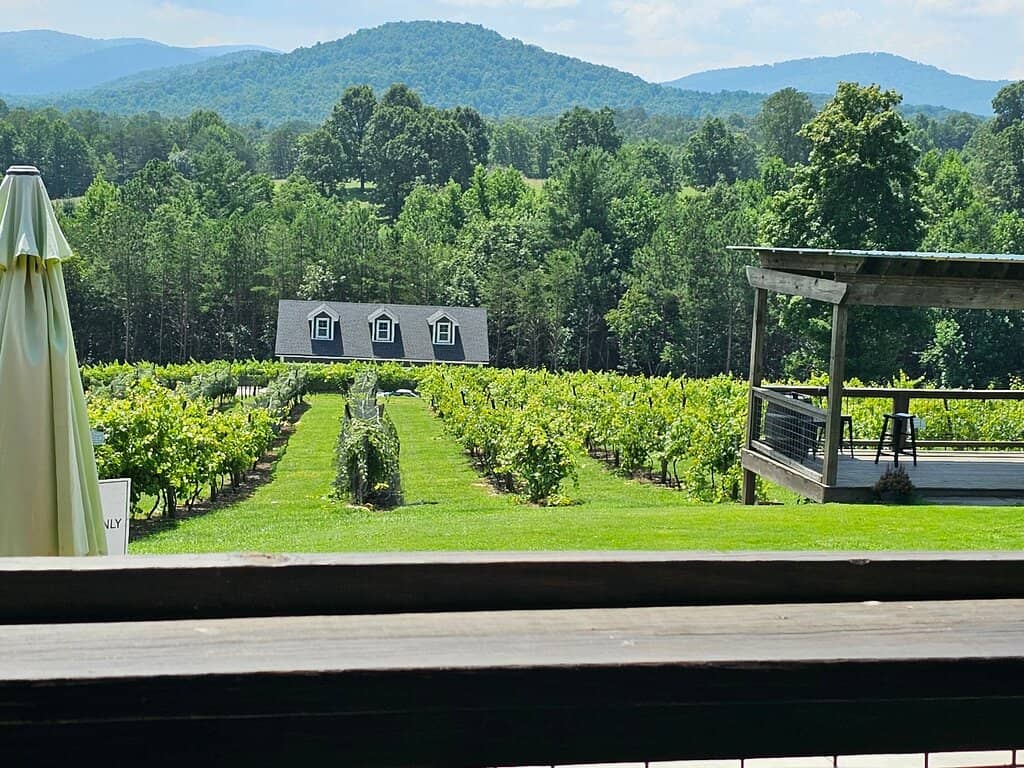 Delicious Wine Selection