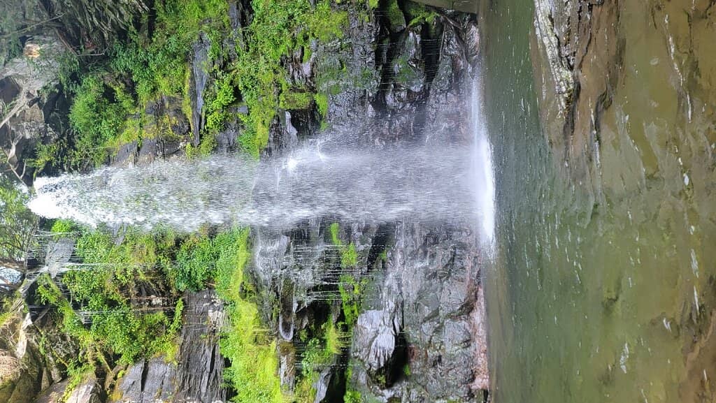 Vertical photo