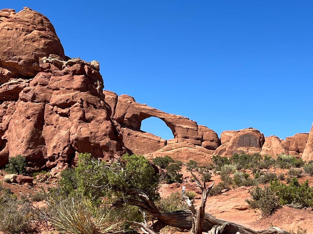 Roadside Viewpoint