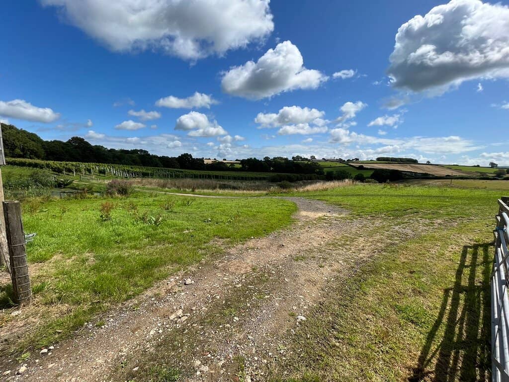Scenic Dorset Countryside