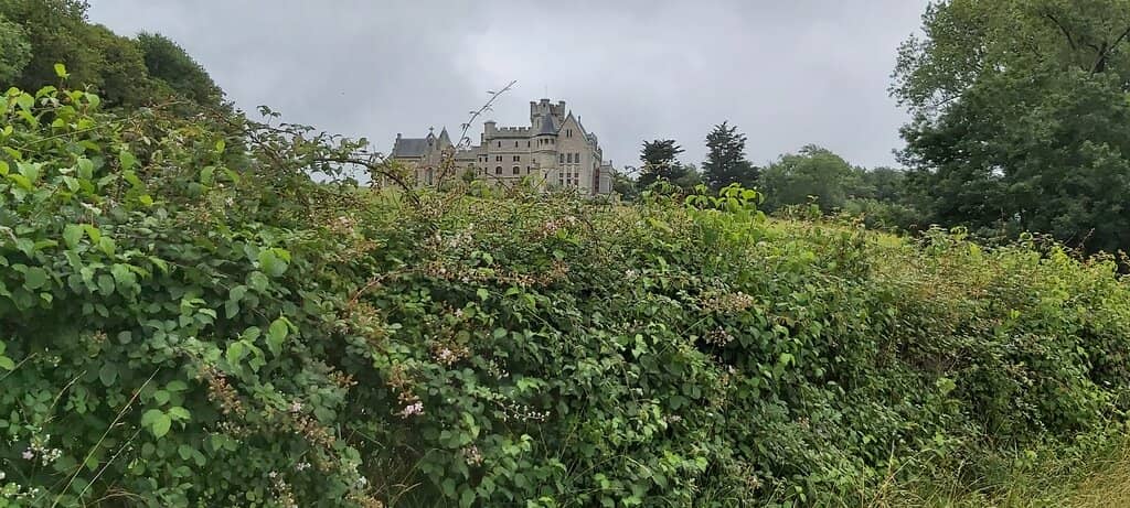 Belharra Wave Spotting