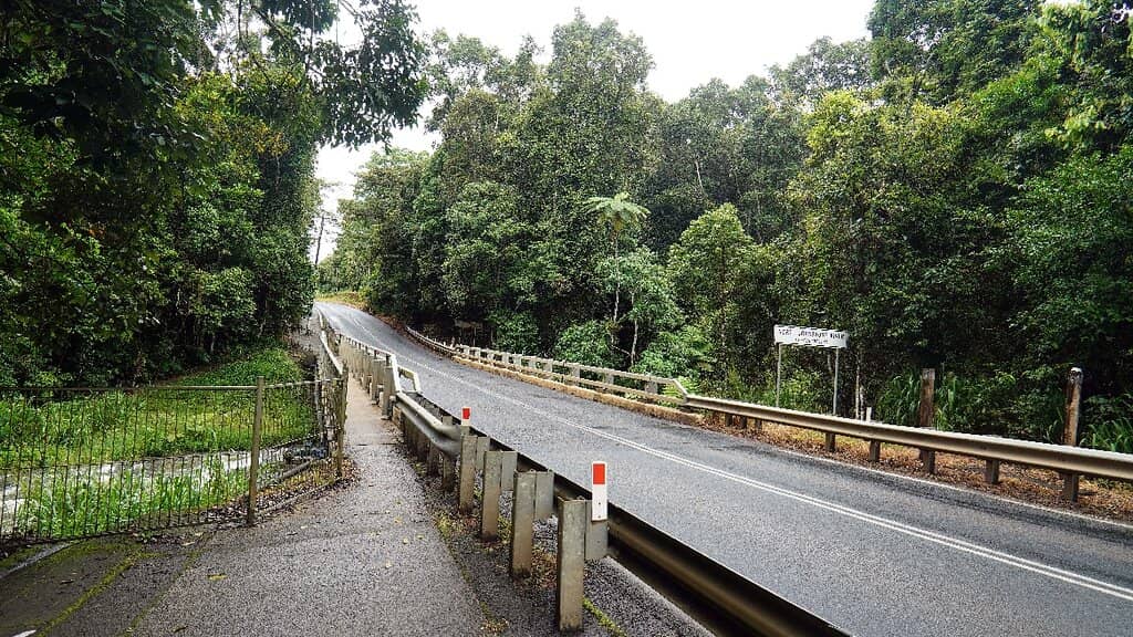 Turtle Viewing Platform