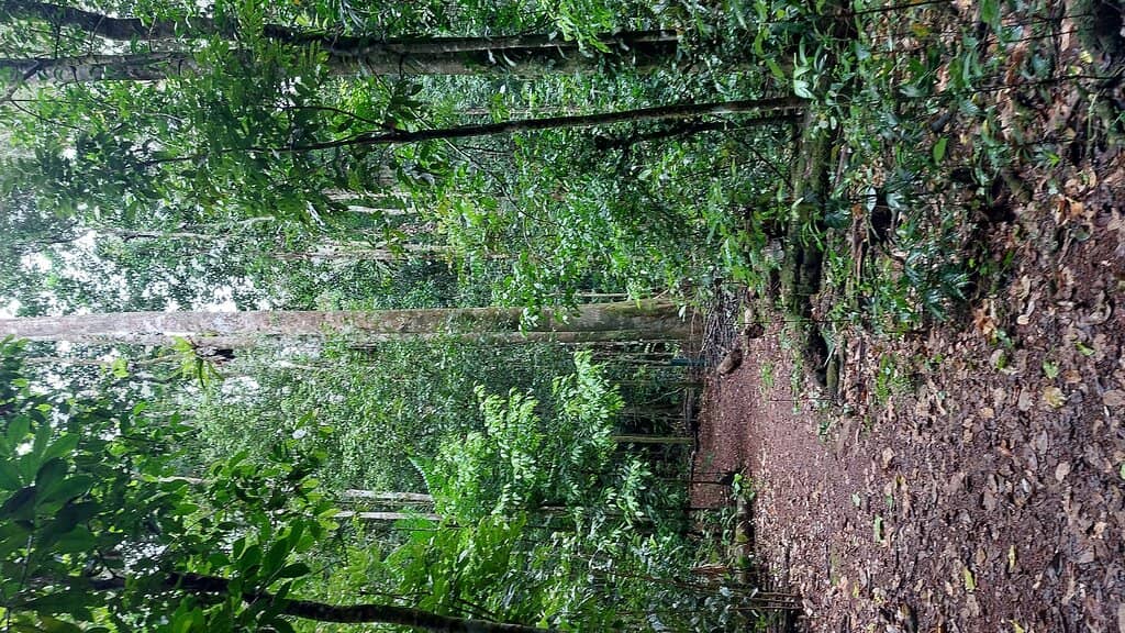 Interactive Interpretive Centre