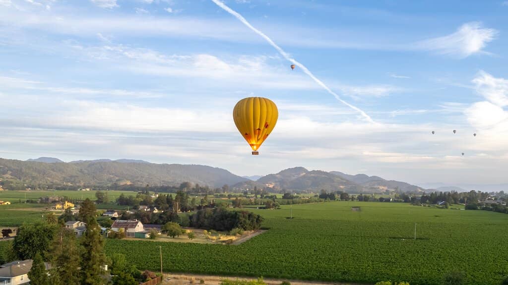 The Thrill of Ascent and Descent