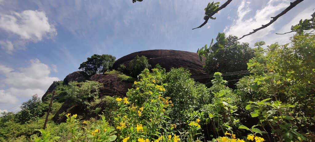 Panoramic Viewpoints