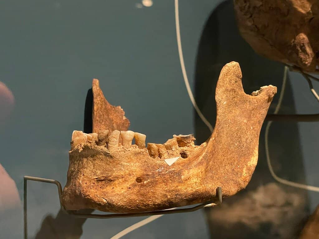 Medieval Relics