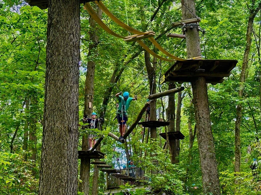 Zip Line Thrills