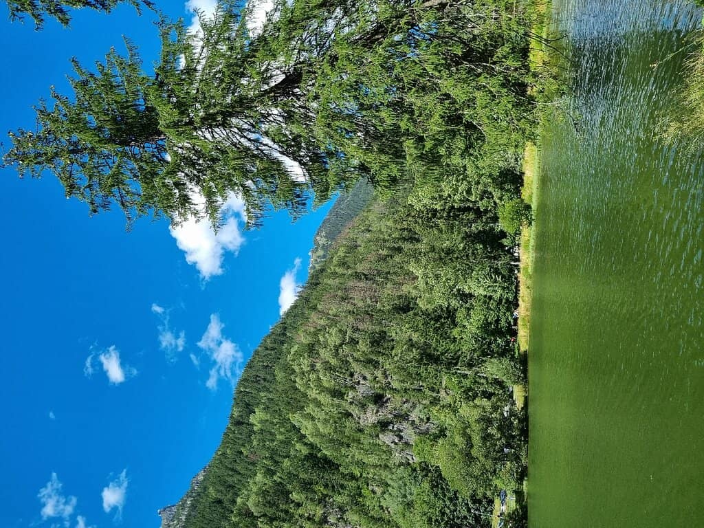 Picnic Perfection