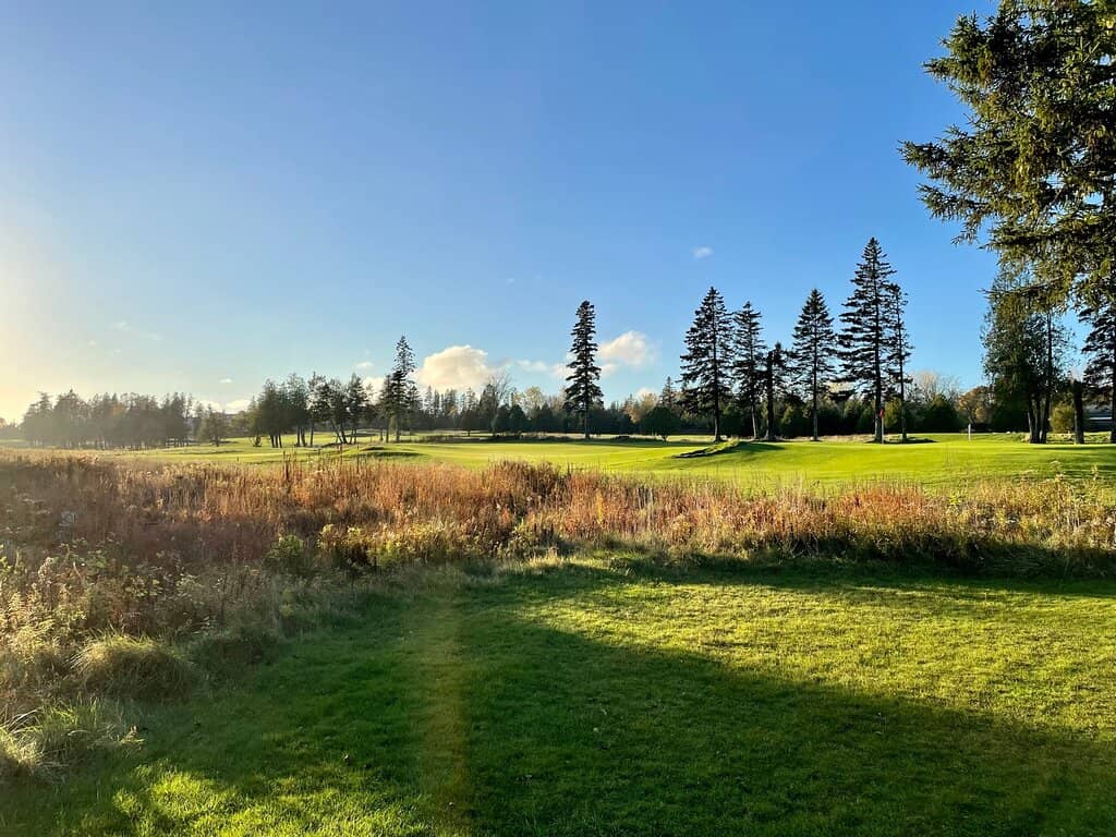 Immaculate Greens and Fairways