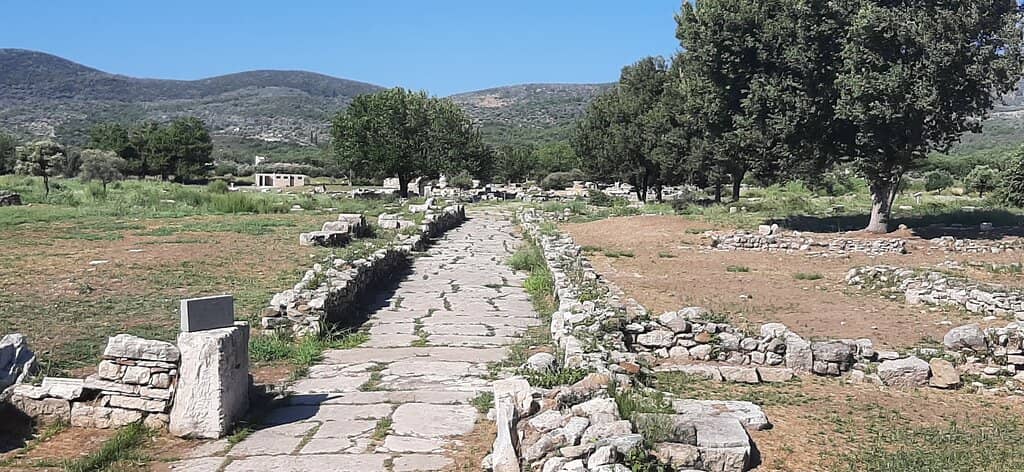 Archaeological Excavations