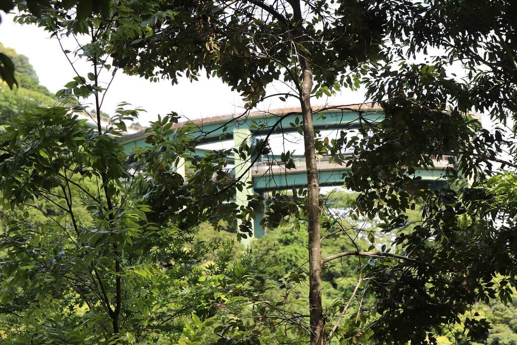 Architectural Curiosity