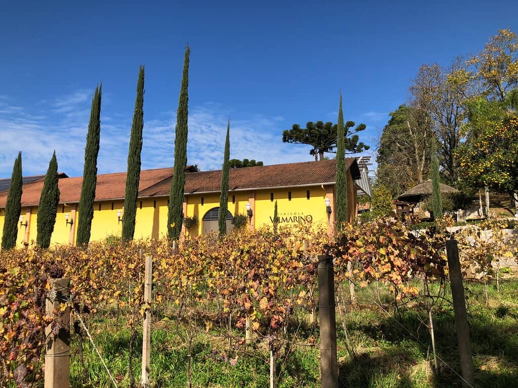 Cabernet Franc Excellence