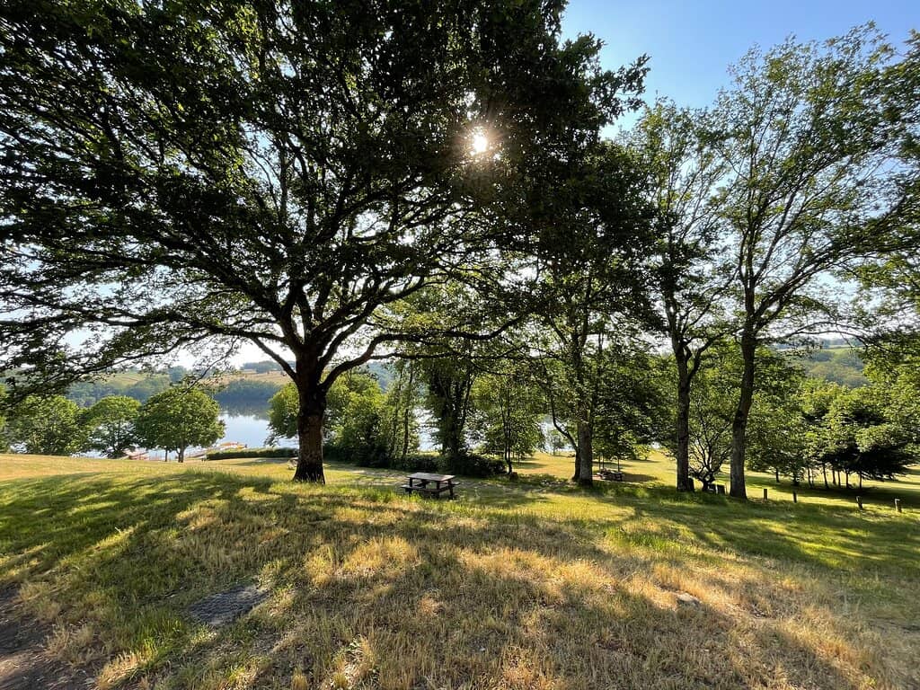 Pedalo and Swimming Fun