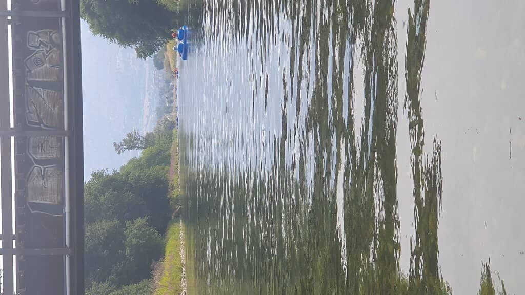 Vertical photo