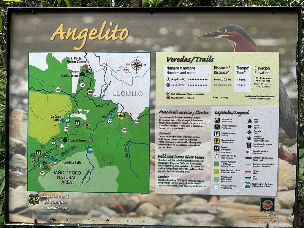 Nibbling Fish Experience