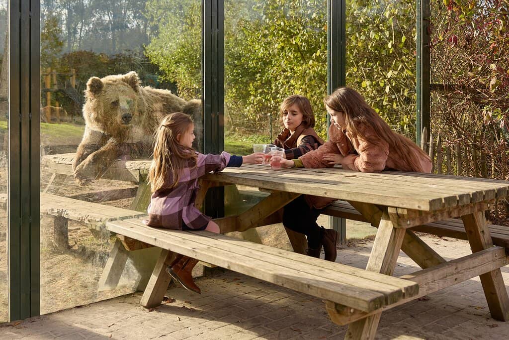 Close-Up Animal Encounters