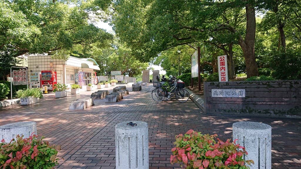 Cherry Blossom Picnic Spots