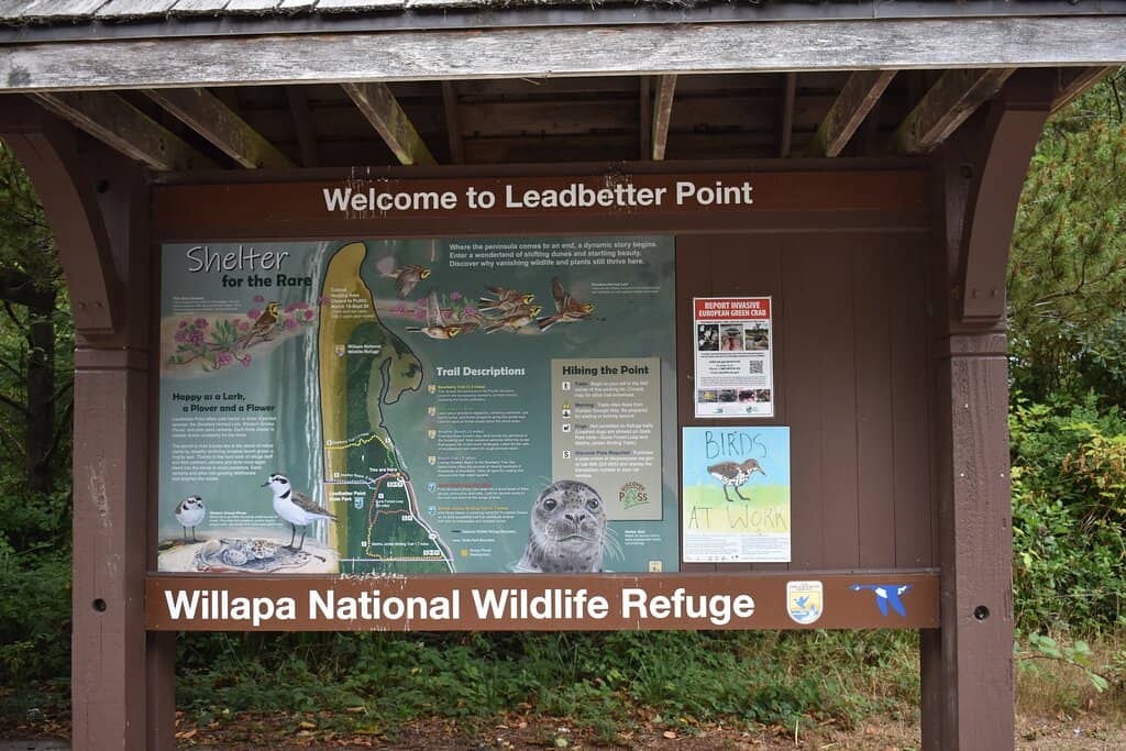 Wildlife Viewing