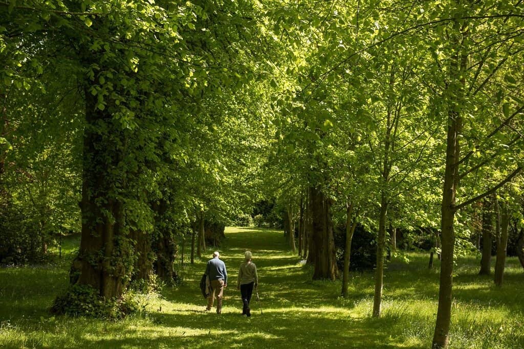 Woodland Walks