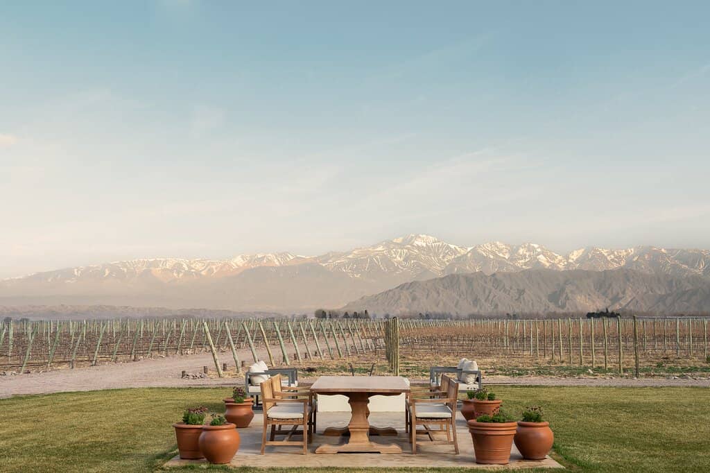 Vineyard Views and Andes Backdrop