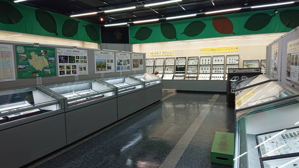 Interactive Exhibits for All Ages