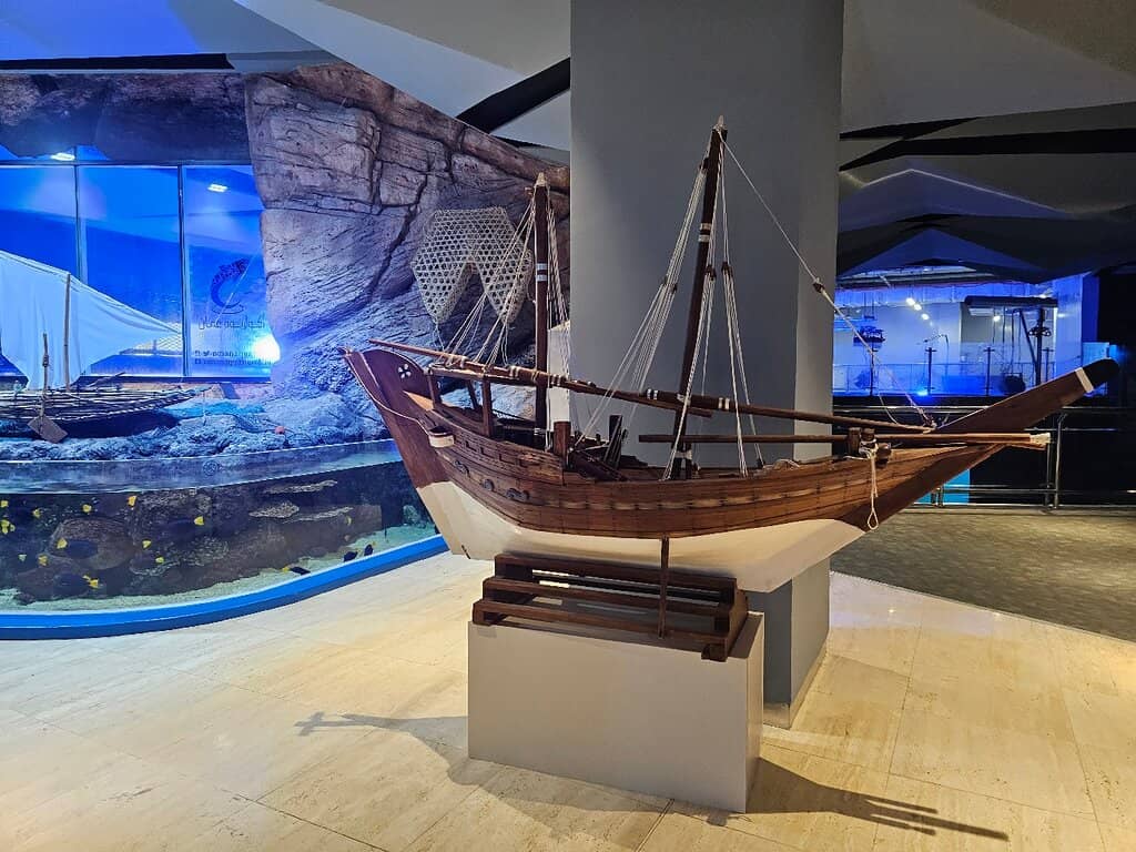 White Turtle Encounter