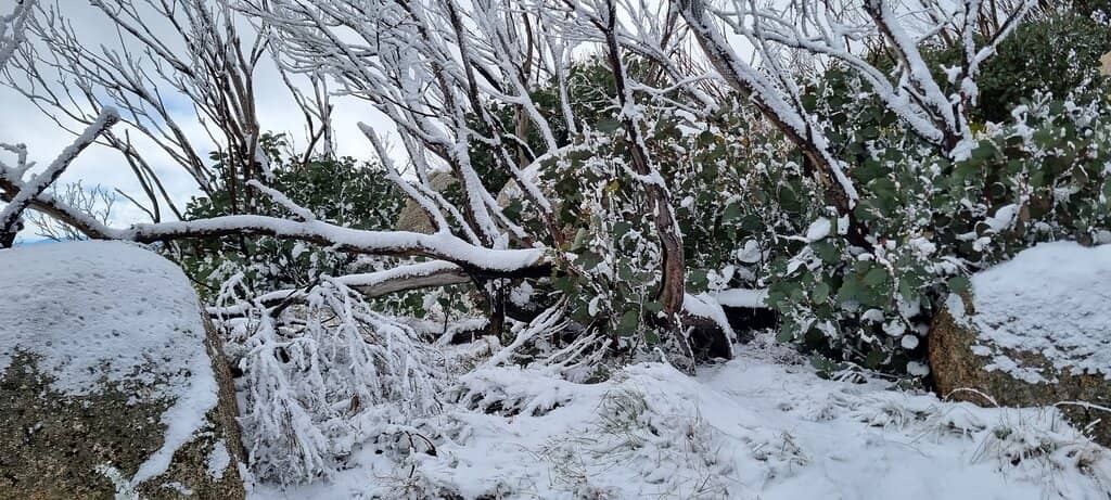 The Horn Picnic Area