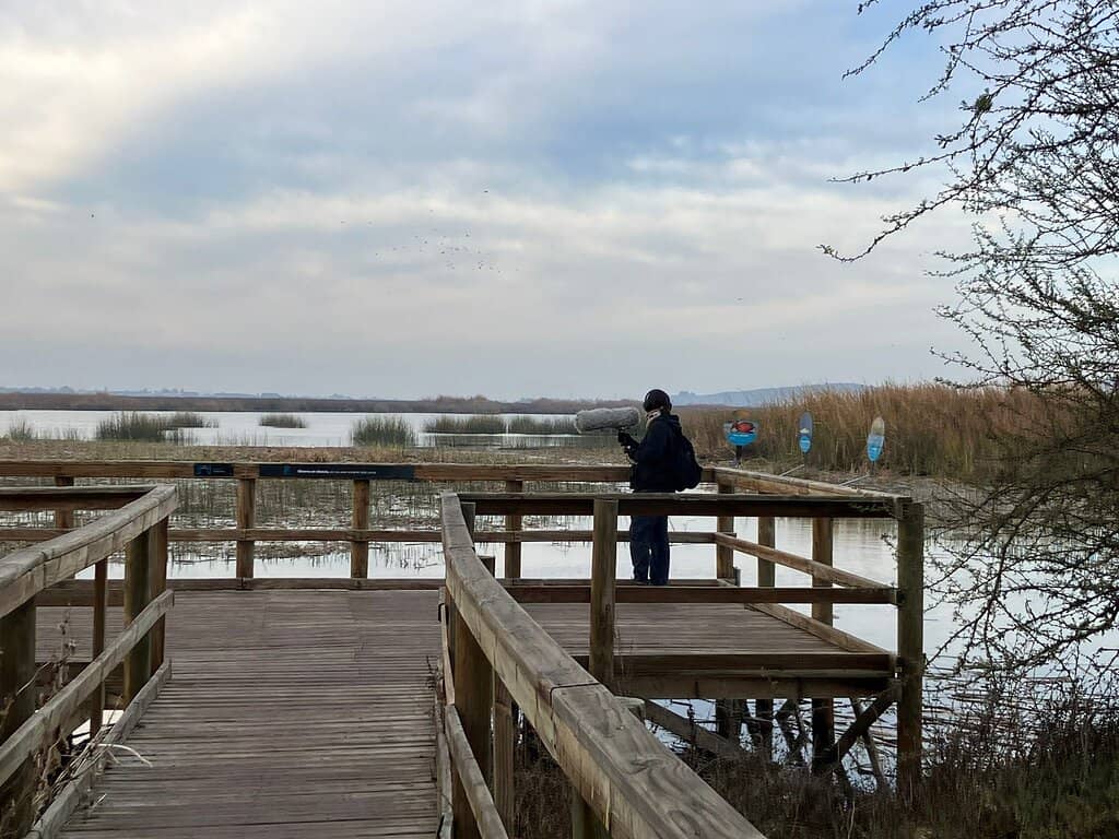 Birdwatching Hotspots