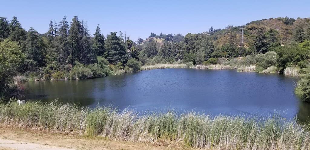 Hiking Trails