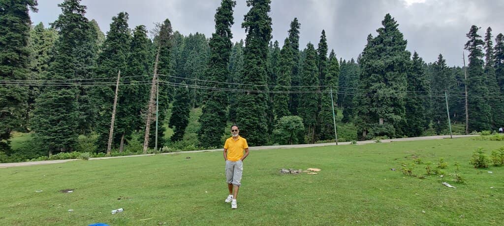 Lush Green Meadows
