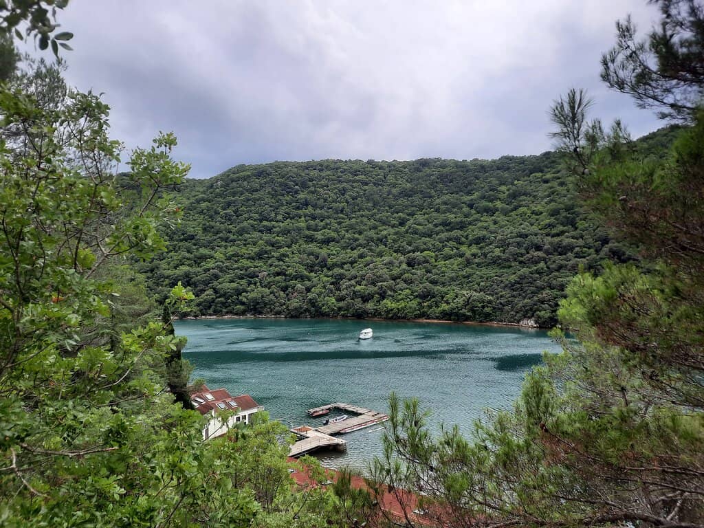 Panoramic Lookout Points