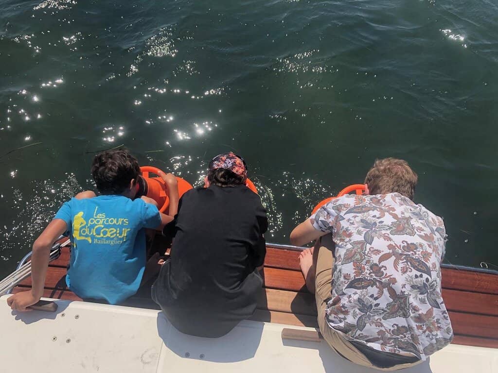 Harbor Views & Local Bites